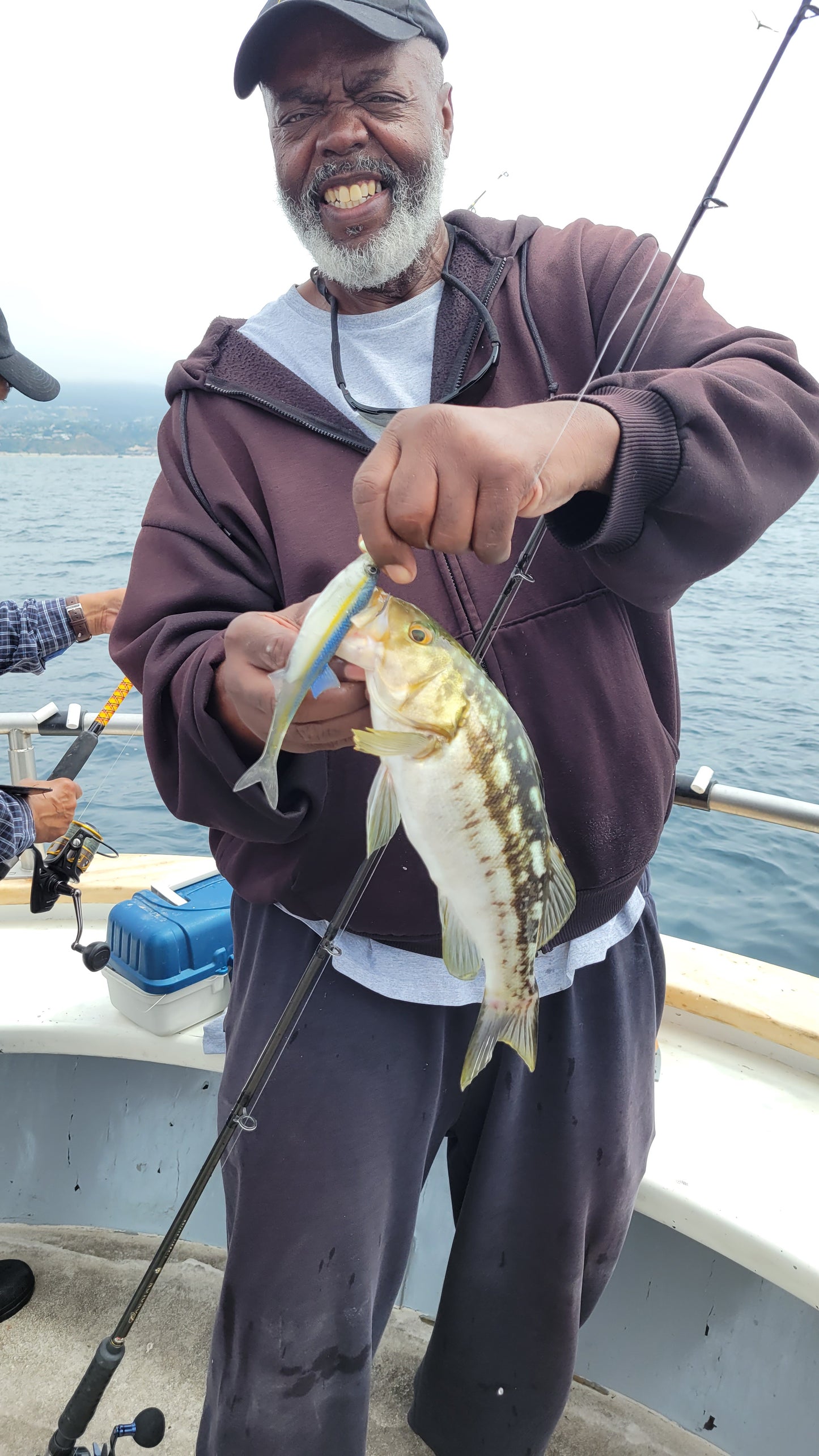 Angry Lures Blue Fin Tail