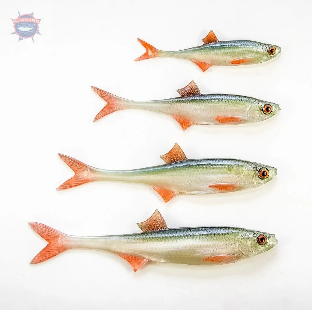 Angry Lure Shad Fire Fin Tail 4" inch WORM KING SWIMBAITS®