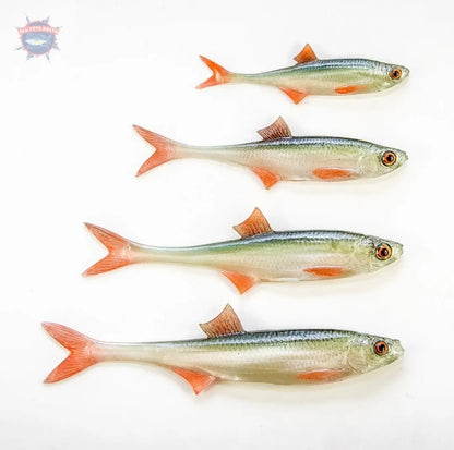 Angry Lure Shad Fire Fin Tail 4" inch WORM KING SWIMBAITS®